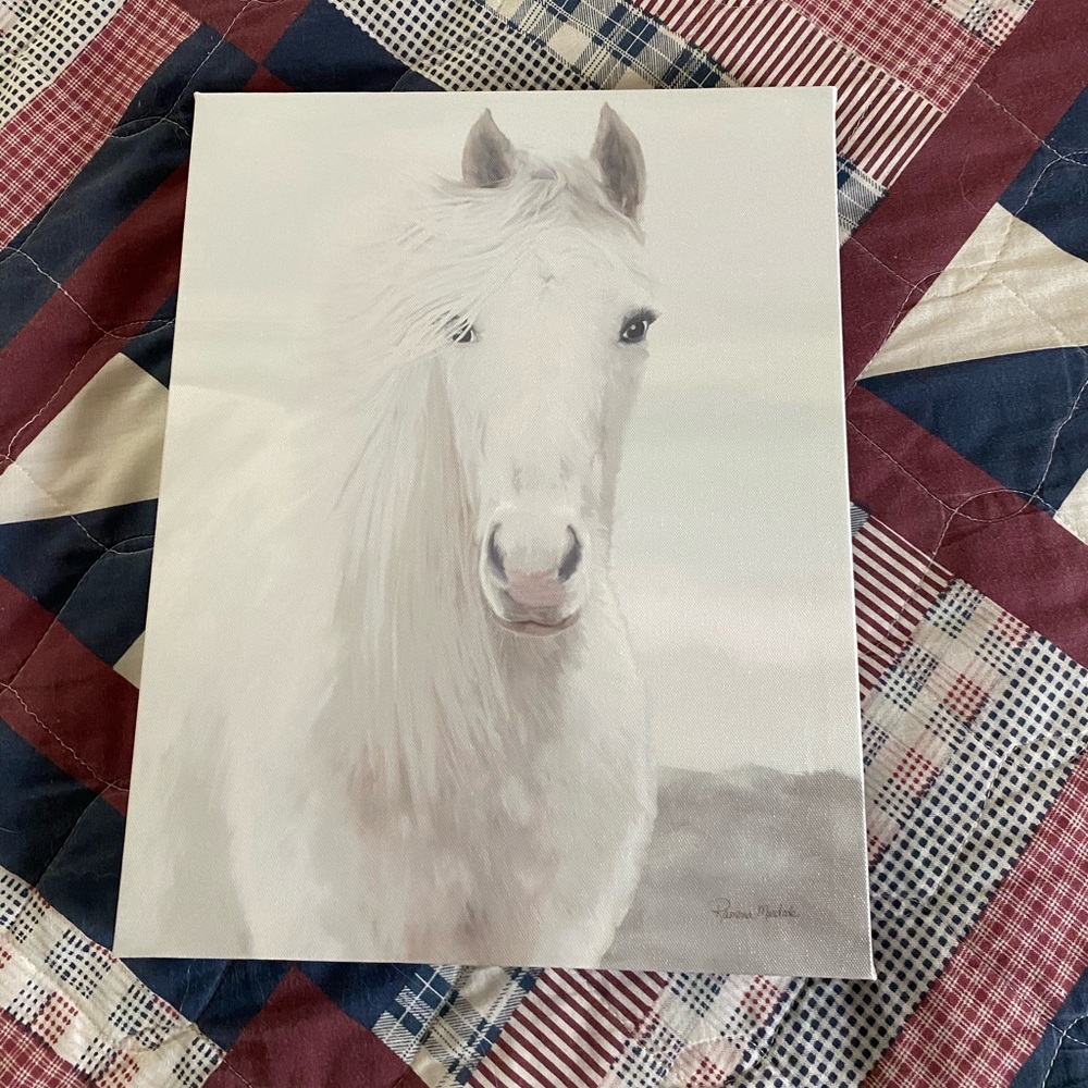 Horse pictures